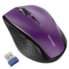 TeckNet Wireless Mouse M002 2.4Ghz Optical Cordless Mouse USB Nano Receiver for Notebook PC Laptop Computer 4800DPI 6 Levels